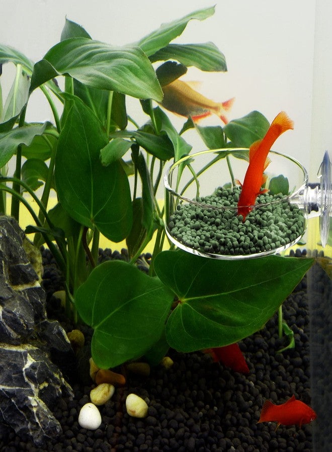 WEAVERBIRD 60mm Aquarium Shrimp Feeder Dish with Suction Glass Fish Tank Feeding Bowls Round Clear Dishes Tray - Image 3